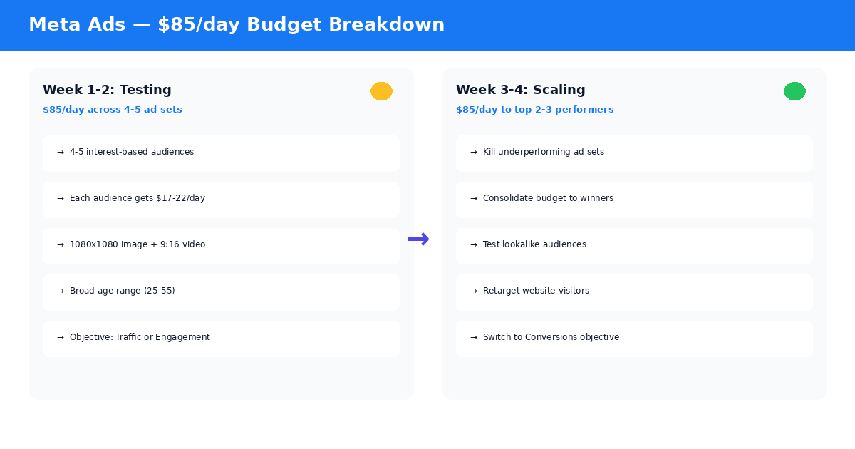 Meta Ads budget strategy